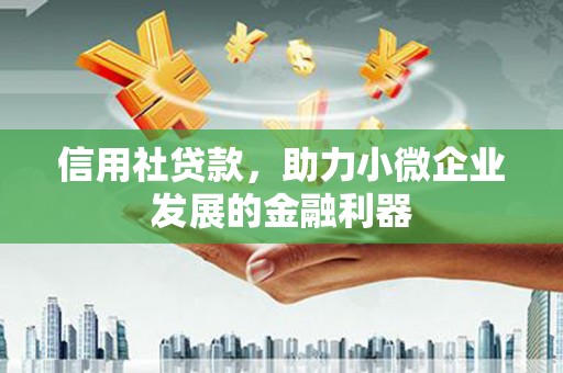 莎车信用社贷款，助力小微企业发展的金融利器