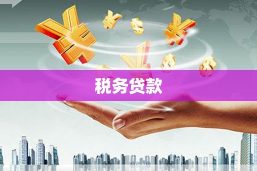 东阳税务贷款