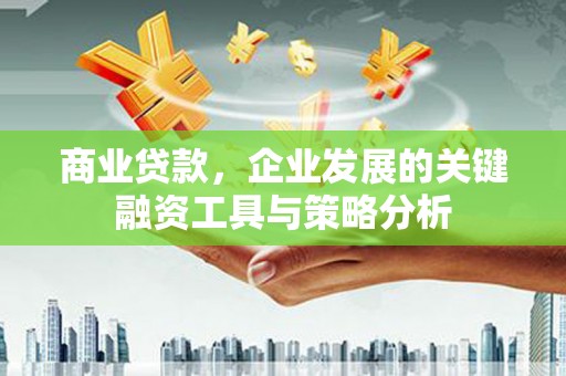 大肚商业贷款，企业发展的关键融资工具与策略分析