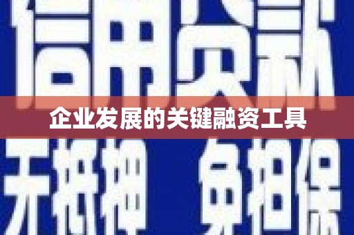 盐津企业发展的关键融资工具