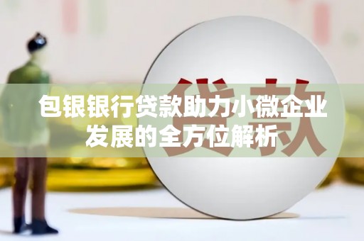 大厂包银银行贷款助力小微企业发展的全方位解析
