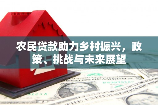 莎车农民贷款助力乡村振兴，政策、挑战与未来展望