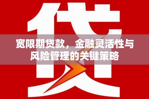 莱西宽限期贷款，金融灵活性与风险管理的关键策略