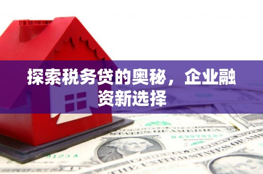 青河探索税务贷的奥秘，企业融资新选择