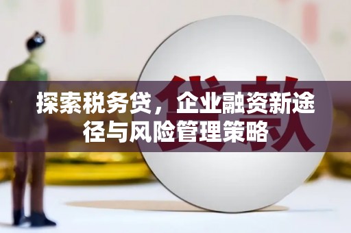 铁东探索税务贷，企业融资新途径与风险管理策略