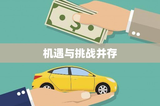 盐津机遇与挑战并存