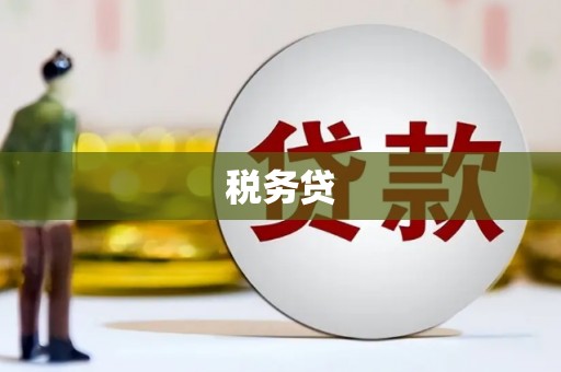大渡口税务贷