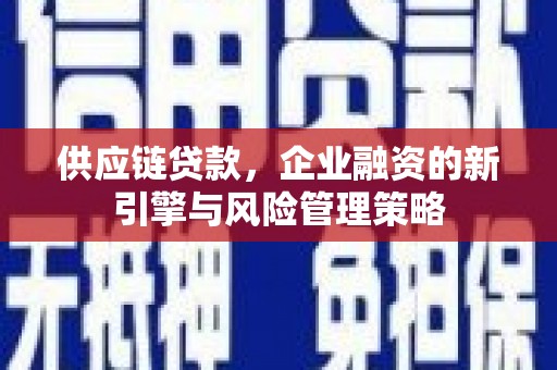 田阳供应链贷款，企业融资的新引擎与风险管理策略