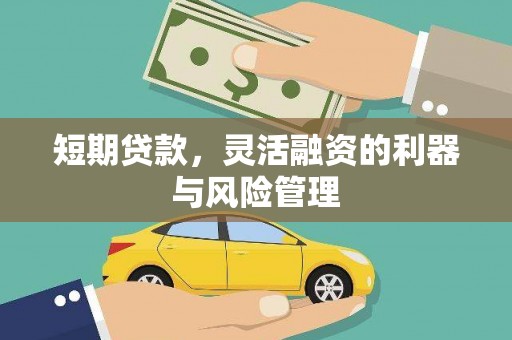 安源短期贷款，灵活融资的利器与风险管理