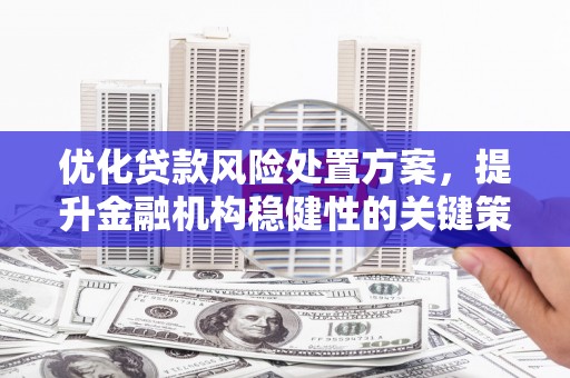 安源优化贷款风险处置方案，提升金融机构稳健性的关键策略
