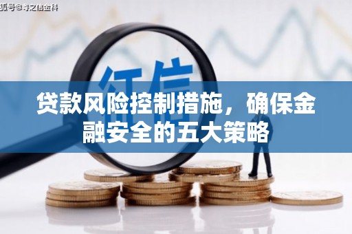 紫阳贷款风险控制措施，确保金融安全的五大策略