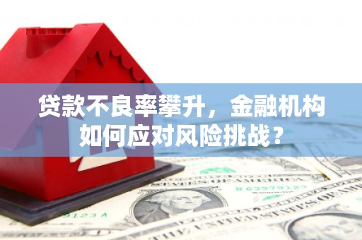 水城贷款不良率攀升，金融机构如何应对风险挑战？