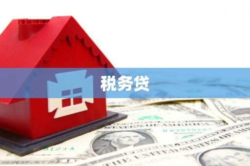乐昌税务贷