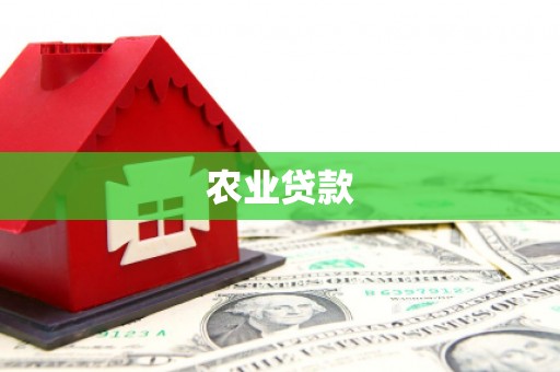 纳雍农业贷款