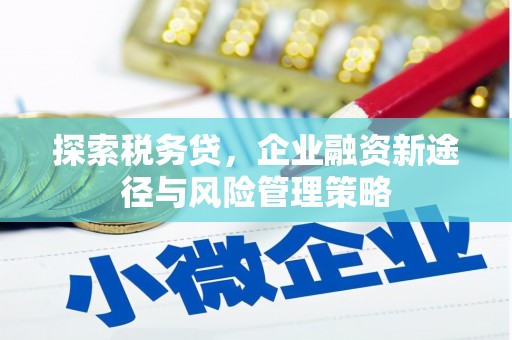 红花岗探索税务贷，企业融资新途径与风险管理策略
