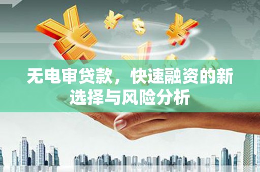 仙居无电审贷款，快速融资的新选择与风险分析
