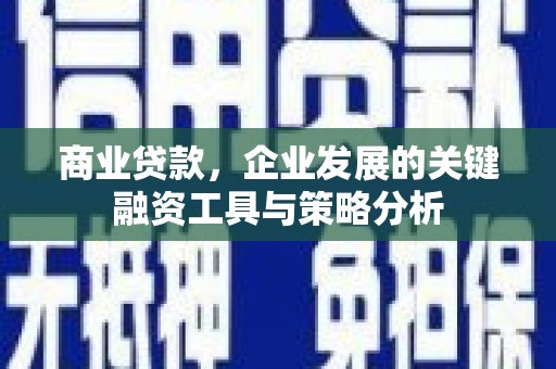 仙居商业贷款，企业发展的关键融资工具与策略分析