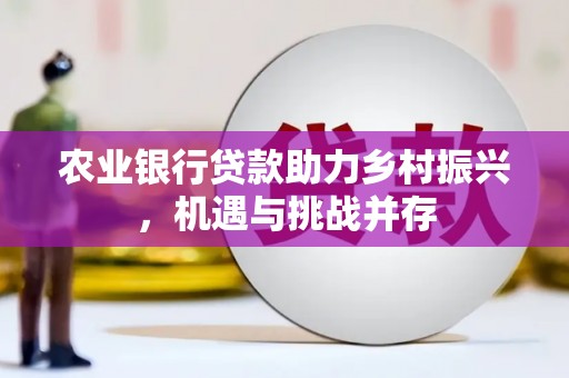 蒙山农业银行贷款助力乡村振兴，机遇与挑战并存