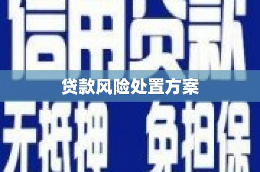 永嘉贷款风险处置方案