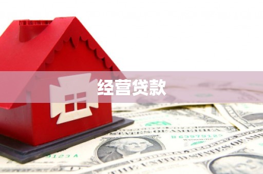 周村经营贷款