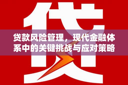 满城贷款风险管理，现代金融体系中的关键挑战与应对策略