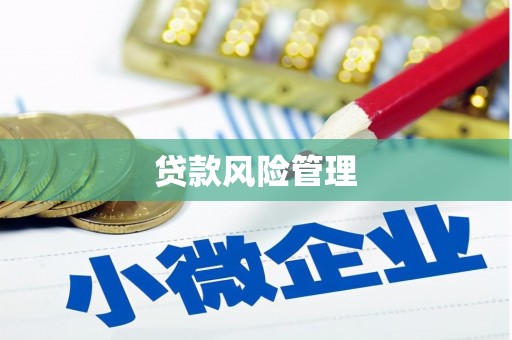 江阴贷款风险管理