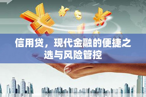 肇州信用贷，现代金融的便捷之选与风险管控
