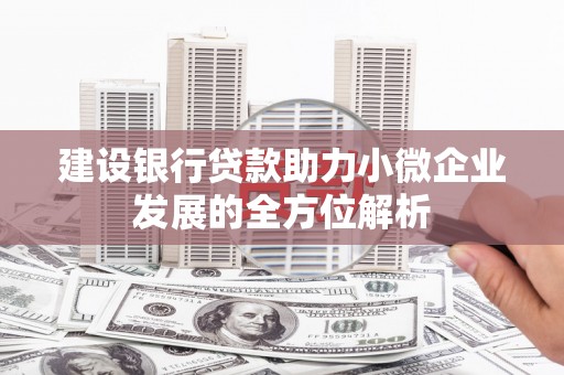 青秀建设银行贷款助力小微企业发展的全方位解析