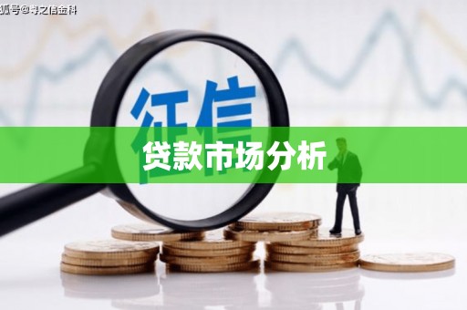 昌都贷款市场分析