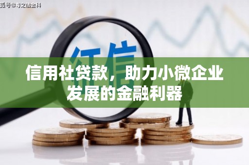 涉县信用社贷款，助力小微企业发展的金融利器