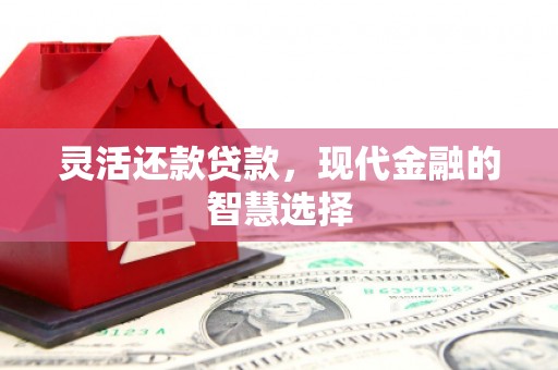 昌都灵活还款贷款，现代金融的智慧选择