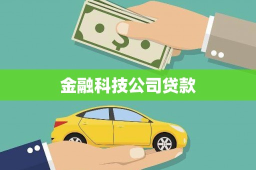 长洲金融科技公司贷款