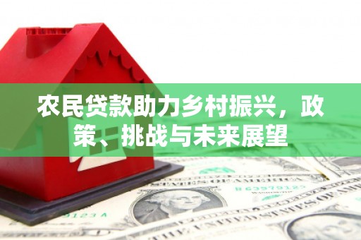 长洲农民贷款助力乡村振兴，政策、挑战与未来展望