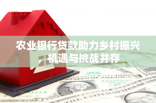 盐亭农业银行贷款助力乡村振兴，机遇与挑战并存