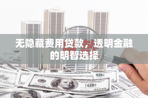 盐亭无隐藏费用贷款，透明金融的明智选择