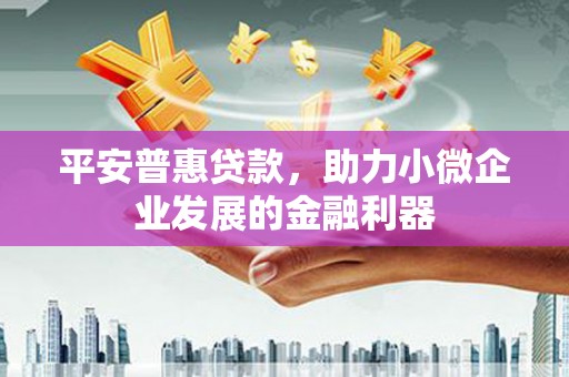 九龙平安普惠贷款，助力小微企业发展的金融利器