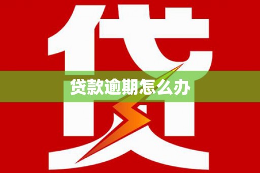 黔东南贷款逾期怎么办