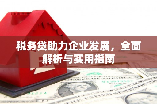江阳税务贷助力企业发展，全面解析与实用指南