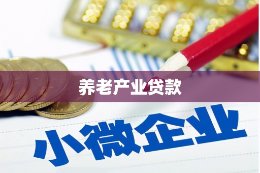 宁化养老产业贷款