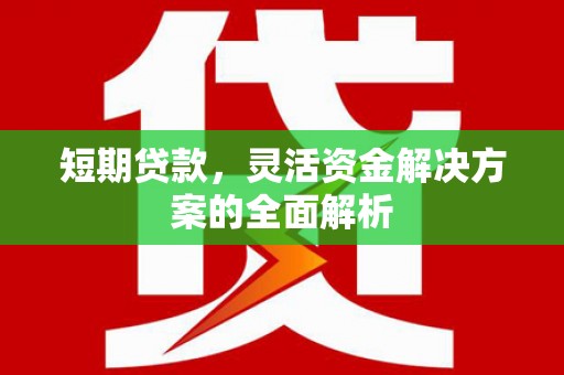 金塘短期贷款，灵活资金解决方案的全面解析