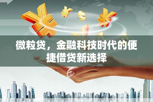 富平微粒贷，金融科技时代的便捷借贷新选择