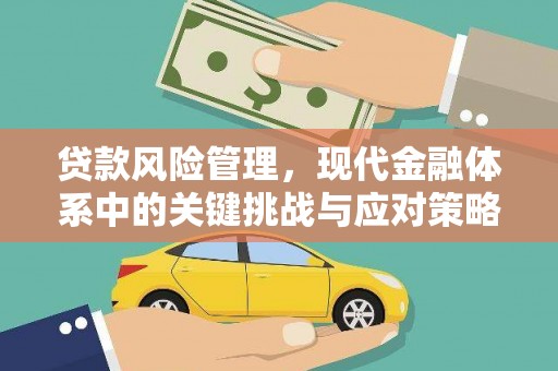 宝山贷款风险管理，现代金融体系中的关键挑战与应对策略
