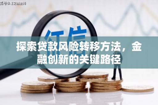 精河探索贷款风险转移方法，金融创新的关键路径
