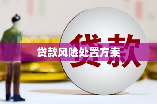 枣强贷款风险处置方案