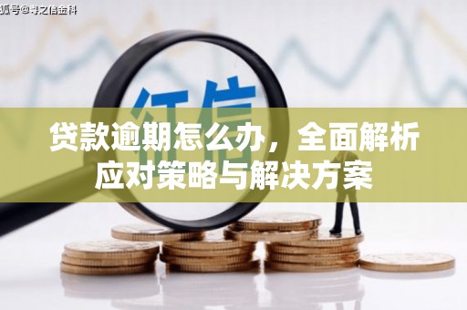 金塘贷款逾期怎么办，全面解析应对策略与解决方案