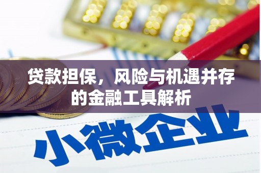 丘北贷款担保，风险与机遇并存的金融工具解析