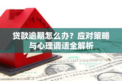 东城贷款逾期怎么办？应对策略与心理调适全解析