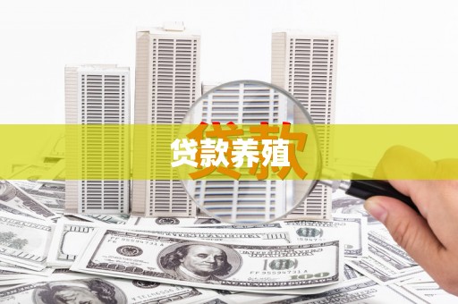 雁塔贷款养殖