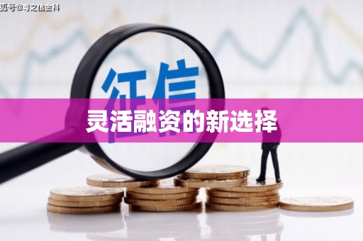 万里灵活融资的新选择