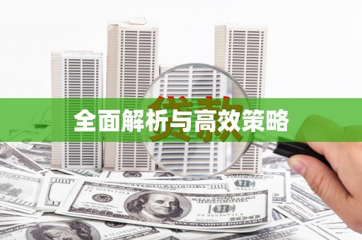洪梅全面解析与高效策略